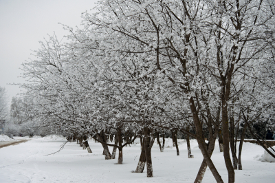 Татарстанцам в&nbsp;пятницу обещают метель со&nbsp;снежными заносами и&nbsp;сильным ветром