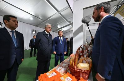 Глава государства посетил выставку аграрной продукции Акмолинской области