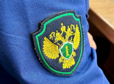 Директор татарстанской фирмы дисквалифицирован на год за долги по зарплате