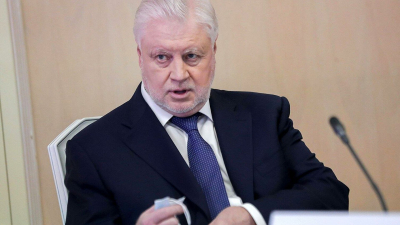 Миронов предложил ввести пенсионную потребительскую корзину