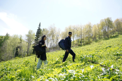 Интерфейс для туриста