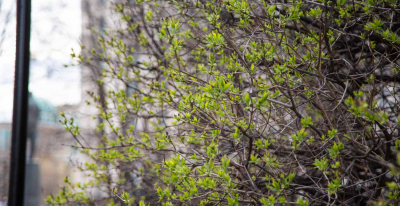 Юрист Южалин: в 2026 году россиян ждут самые короткие за 8 лет майские праздники