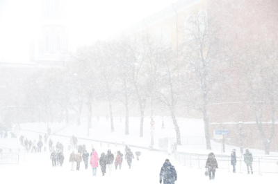 aif.ru: Москву на неделе охватит снежный буран