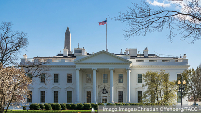 МВД: Лжеприставы начали массово требовать с россиян оплату штрафов ГИБДД