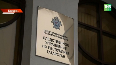 Бастрыкин поручил доложить о нападении бультерьера на 12-летнюю девочку в Нижнекамске