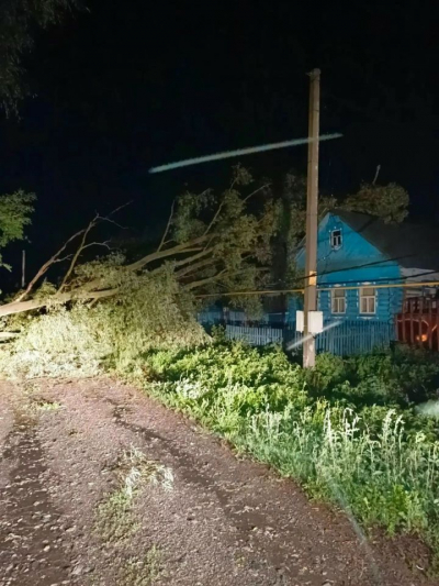Ночной ветер повалил 20 деревьев в Татарстане, один человек погиб