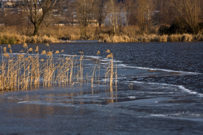 Жителей Поволжья предупредили о мощных паводках этой весной