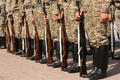 Вернуть социальные льготы военнослужащим предложил сенатор Лукин