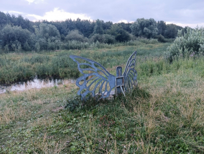 Ученые забили тревогу из-за любимого парка екатеринбуржцев: здорова лишь треть деревьев