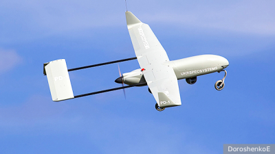 Сеть Modis подала заявление о банкротстве