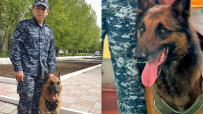 В приоритете &mdash; нюх и верность: четвероногие помощники раскрывают тяжкие преступления