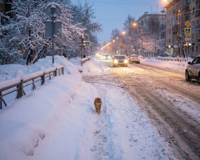 Февральская истерика: снегопады и метеокачели ждут Татарстан в выходные
