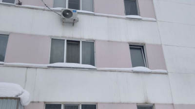 В Челнах перенесли заседание по делу о выселении пенсионерки с 40 кошками