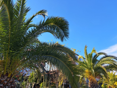 Эксперты выяснили, на каком вьетнамском курорте в марте море чище &ndash; на Фукуоке или в Нячанге